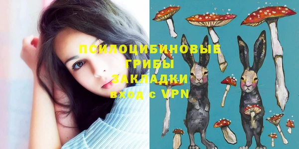 тгк Заволжск