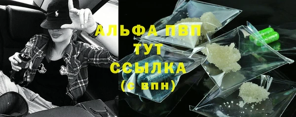 прущий лед Ельня